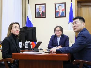 Джулустан Борисов выступил с предложениями по  участию ВЭБ.РФ в проектах ГЧП