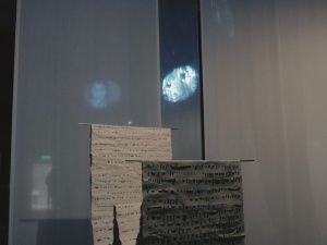 Художница Кюннэй-Йэн Сур представила свои работы на фестивале «Земля людей» в Санкт-Петербурге