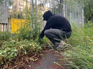 Закладчик из Амурской области осужден на 7 лет