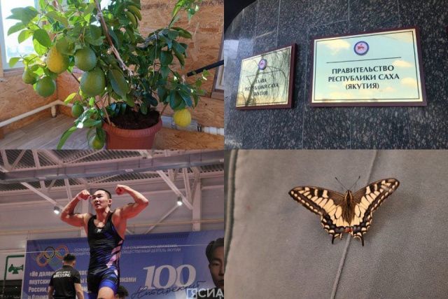 Что произошло в Якутии 8 февраля: обзор событий за день