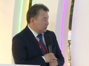 Алексей Стручков принял участие в панельной сессии «Здоровые регионы: Лучшие проекты и  практики»