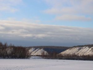 Народный синоптик Тускул: Устоится мягкая зима