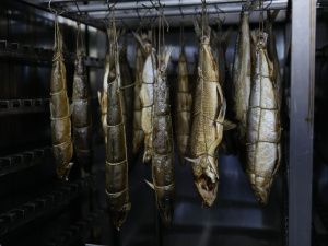 В арктическом посёлке Чокурдах открыли модульный цех по переработке рыбы