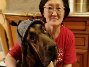 Мэр Якутска сообщила об отказе муниципалитета от работы с бродячими животными