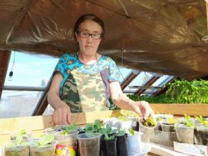 В Чурапчинском улусе подготовка к посевному сезону идет планово