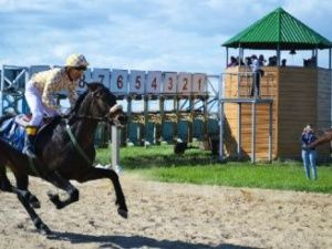 В День России состоялись конные скачки — отборочные на приз Ил Дархана