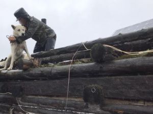 В Верхоянском районе спасли мужчину и собаку, окруженных водой