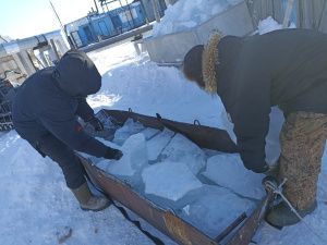 В Якутии реализуется волонтёрский проект «Поможем маме»