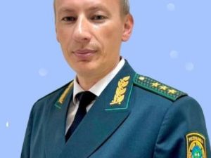 Защита тайги по-якутски: министерство бездействует, федералы выделяют копейки, суд даёт три года на исправление. Леса в восторге