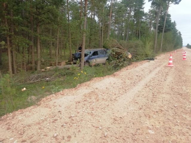 В Ленском районе нетрезвый водитель врезался в дерево