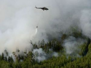 В Якутии потушено 225 лесных пожаров на общей площади 7 332,6 га