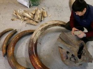 Стоит ли ждать вывода «мамонтового бизнеса» из тени?