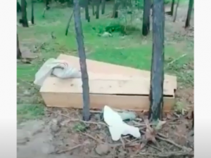 На кладбище в районе Птицефабрики валяются пустые гробы