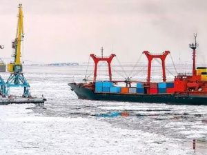 Более 600 представителей молодежи со всего мира объединила вторая Международная Арктическая Молодежная Ассамблея в Санкт-Петербурге