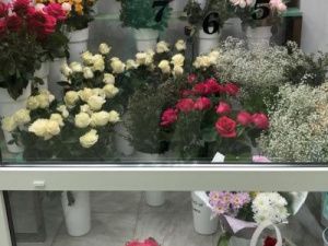 Цветы Эдема расцвели в снежном Алдане