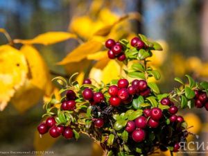 Народные приметы на 5 сентября 2023 года: что нельзя делать в этот день