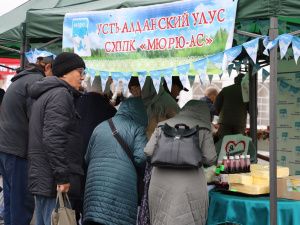 Более 300 тонн продукции реализовано на выставке-ярмарке «Продовольствие-2024»