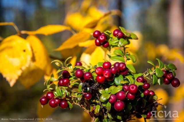 Народные приметы на 5 сентября 2023 года: что нельзя делать в этот день