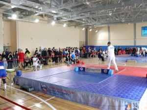 Еще трех золотых медалей добились якутские мас-рестлеры на чемпионате России