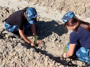 Сотрудники уголовно-исполнительной инспекции УФСИН приняли участие во Всероссийском экологическом субботнике «Зеленая Россия»