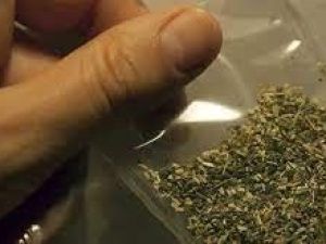 Житель Якутска похитил у наркоторговцев партию "спайса"