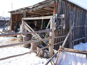 Этноквест «По следам государевых ямщиков»   