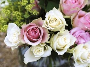 Лучшие педагоги якутского языка, литературы и национальной культуры удостоены премии главы Якутска