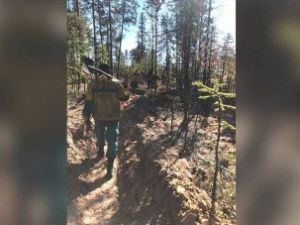 В Якутии тушат 17 лесных пожаров: информация на 25 августа