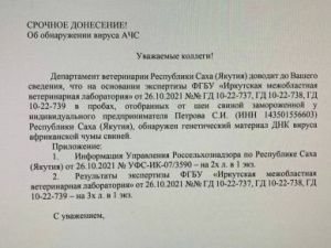 В Якутске в мясе обнаружен вирус африканской чумы свиней