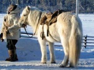 Ил Дархан поздравляет с Днем табунщика
