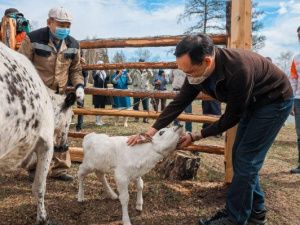 Айсена родила Дархана
