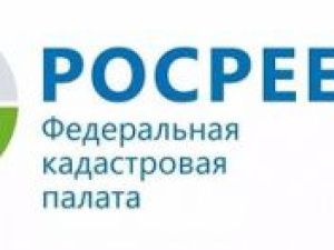 Работники Кадастровой палаты по Республике Саха (Якутия) приняли участие в озеленении Якутска
