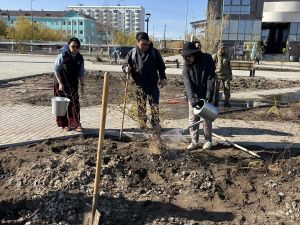 Итоги экологической акции «Пригороды - городу»: 884 новых дерева за одну неделю