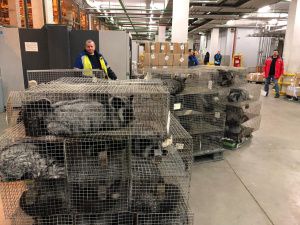 В селе Иенгра Нерюнгринского района открылась звероферма