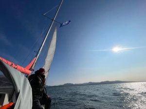 Якутские мореплаватели запечатлели гигантский «птичий базар» на Чукотке