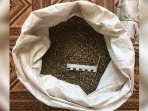 Транспортные полицейские изъяли у жителя Ленска крупную партию марихуаны