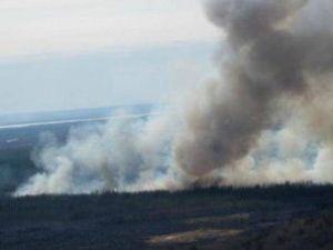 Пожароопасный сезон в Якутии в 2019 году прогнозируется как неблагоприятный