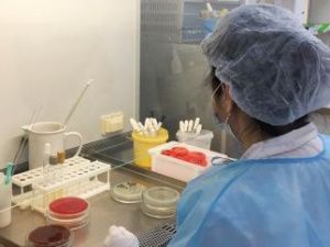 Якутские врачи обзавелись «баклабораторией в кармане»