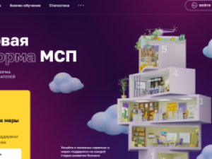 Для поддержки предпринимателей и самозанятых граждан разработали новую цифровую платформу МСП.РФ