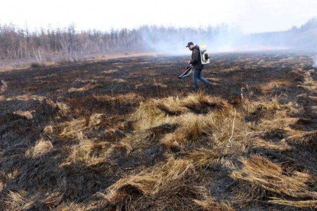 Новое противопожарное средство испытали в Якутии