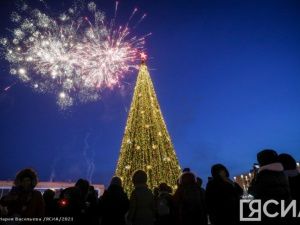 Жители ДФО готовы потратить 6 тысяч рублей на человека при бронировании жилья на Новый год