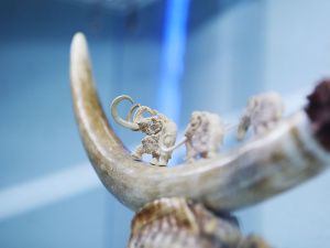 Якутия привезла на ВЭФ сокровищницу вечной мерзлоты