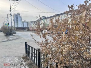 Затяжная осень в Якутске заканчивается