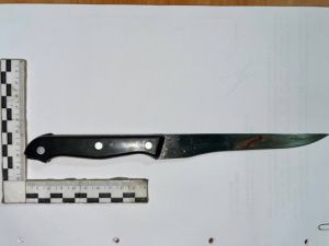 Убила гостя и пошла жрать водку дальше: Верховный суд Якутии рассмотрел аппеляцию женщины, убившей знакомого и укравшей его телефон