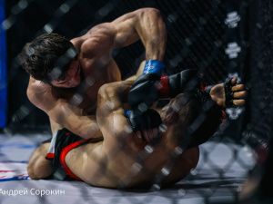 Четыре якутских бойца одержали победы на Кубке Ил Дархана и Eagle FC