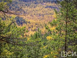 Два человека заблудились в Намском районе Якутии