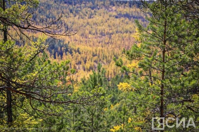Два человека заблудились в Намском районе Якутии
