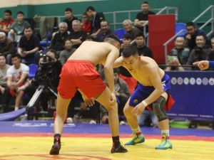 Борцы Тимур Николаев и Никита Софронов завоевали титулы абсолютных чемпионов турнира Ноговицыных