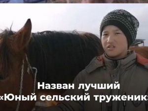 В Якутии выбрали «Юного сельского труженика»