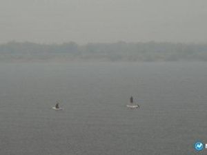 В среду в Якутске ожидается дождь